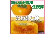 【県認定エコファーマー】あんぽ柿用生渋柿（平たねなし柿） 約5.5～6kg-AP