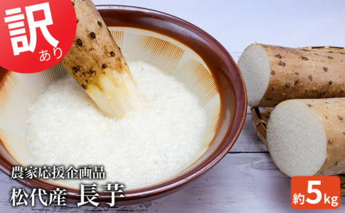 2026年産先行予約　訳あり 松代産長芋 約5kg　応援企画品 野菜 根菜 傷 変形 こぶ 5キロ  181384 - 長野県長野市