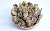 北海道サロマ湖産　加熱用殻付き牡蠣貝（2年貝）4kg