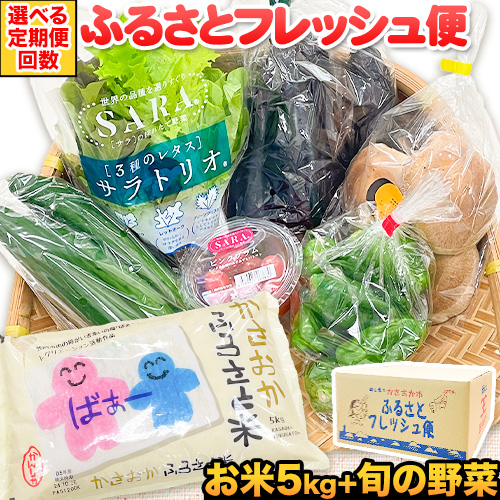 【定期便あり】選べる回数 ふるさとフレッシュ便 米 5kg 野菜 5種 JA晴れの国岡山 笠岡アグリセンター 米5kg 旬の野菜5種類 定期 計1回 3回 12回 お届け 笠岡ふるさと米 野菜 送料無料 岡山県 笠岡市《お申込月の翌月より発送》 1817618 - 岡山県笠岡市