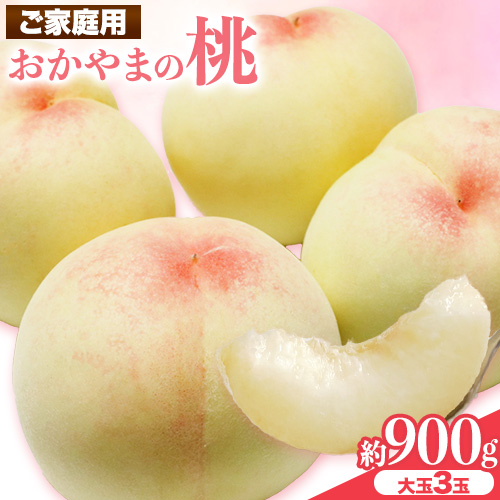 ご家庭用 おかやまの桃 約900g(大玉3玉) 令和7年産 先行予約  《7月上旬-8月下旬頃出荷》 桃 晴れの国おかやま館 フルーツ 果物 果実 岡山県 笠岡市
 1817633 - 岡山県笠岡市