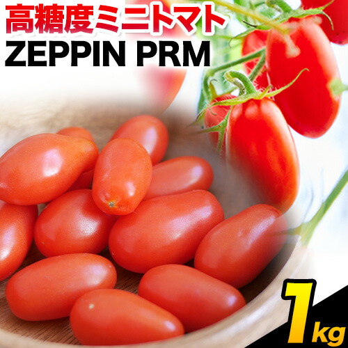 トマト とまと 高糖度トマト ZEPPIN PRM(プレミアム) 1kg 甘い トマト フルーツトマト ミニトマト 野菜 フルーツ ハウス フルーツ感覚 甘い おいしい《120日以内に出荷予定(土日祝除く)》 1817960 - 岡山県笠岡市