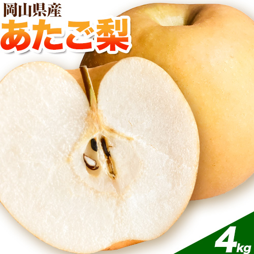 岡山県産 あたご梨　4kg（3～6玉）令和7年産先行受付《11月下旬-12月中旬頃出荷》 1817995 - 岡山県笠岡市