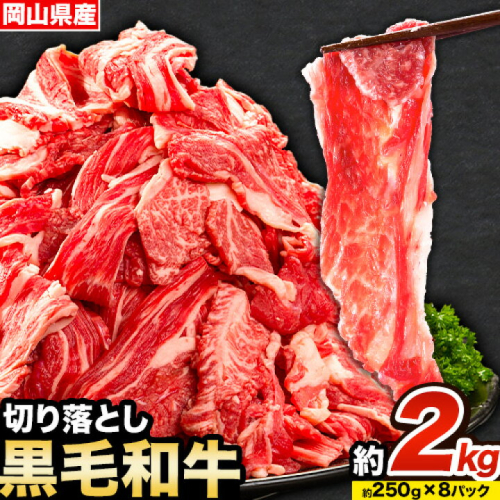 牛肉 肉 黒毛和牛 切り落とし 訳あり 大容量 小分け 2kg 1パック 250g 《30日以内に出荷予定(土日祝除く)》岡山県産 岡山県 笠岡市 お肉 にく カレー 牛丼 切り落し 切落し
 1818015 - 岡山県笠岡市