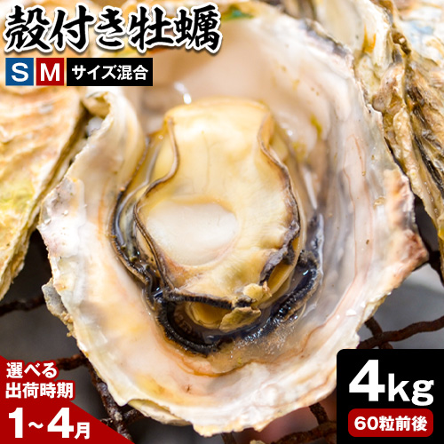 笠岡産 (瀬戸内海産) 殻付き牡蠣 (加熱用) S・Mサイズ混合 4kg 60粒前後《出荷時期が選べる》1月 2月 3月 4月 岡山県 笠岡市 かき カキ 牡蠣 生牡蠣 瀬戸内海産 殻付き 1818025 - 岡山県笠岡市