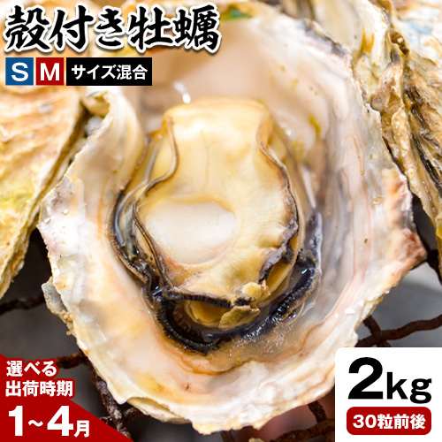 笠岡産 (瀬戸内海産) 殻付き牡蠣 (加熱用) S・Mサイズ混合 2kg 30粒前後《出荷時期が選べる》1月 2月 3月 4月 岡山県 笠岡市 かき カキ 牡蠣 生牡蠣 瀬戸内海産 殻付き 1818026 - 岡山県笠岡市