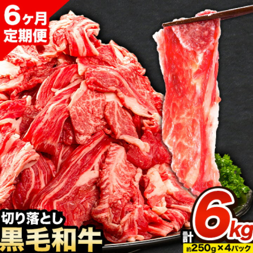 牛肉 肉 黒毛和牛 切り落とし 訳あり 大容量 小分け【定期便】 1kg 1パック 250g 6回 《お申込月の翌月より発送》岡山県産 岡山県 笠岡市 お肉 にく カレー 牛丼 切り落し 切落し
 1818029 - 岡山県笠岡市