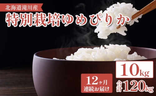 北海道滝川産 特別栽培ゆめぴりか 10kg 12ヶ月連続 181851 - 北海道滝川市