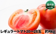 北海道産 レギュラートマト20～28玉　約4kg＜2022年7月中旬～順次出荷＞