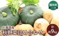 北海道産　秋野菜詰合せ(かぼちゃ・じゃがいも・玉ねぎ) 計約9kg　＜2022年10月中旬～順次出荷＞