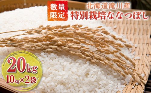 【入金確認後、最短7日発送】令和6年産米 北海道滝川産 特別栽培ななつぼし 20kg(10kg×2袋) ※10月中旬・新米からお届け｜北海道 滝川市 米 お米 白米 ご飯 ナナツボシ ななつぼし 新米 182046 - 北海道滝川市