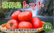 【2022年12月～発送】『喜界島トマト』バガス醗酵有機肥料使用栽培　４kg