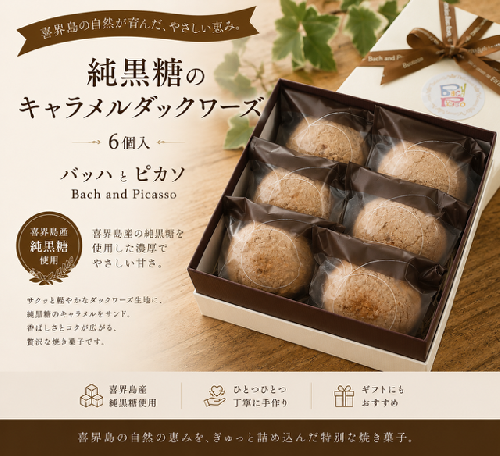 純黒糖のキャラメルダックワーズ(6個入り)【バッハとピカソ】 182085 - 鹿児島県喜界町