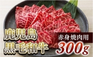 赤身焼肉用300g　鹿児島黒毛和牛【尾崎牧場】