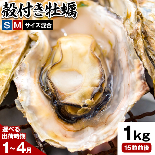 笠岡産 (瀬戸内海産) 殻付き牡蠣 (加熱用) S・Mサイズ混合 1kg 15粒前後《出荷時期が選べる》1月 2月 3月 4月 岡山県 笠岡市 かき カキ 牡蠣 生牡蠣 瀬戸内海産 殻付き 1821060 - 岡山県笠岡市