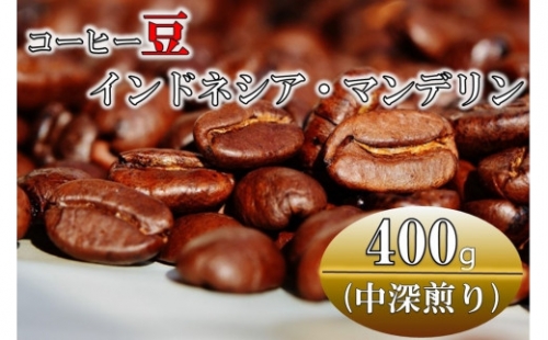 コーヒー豆(中深煎り)インドネシア・マンデリン 400g