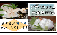 【真空冷凍】夜光貝の刺身500ｇ・ソデイカ500ｇセット【2022年11月～発送】