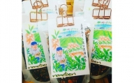 喜界島そら豆 玄米湧水茶×３袋