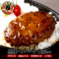B2-3065／【黒豚】桜島美湯豚ハンバーグ（4種ミックス）150g×8個
