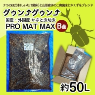 FY22-208 カブトムシ幼虫マット(土) PRO MAT MAX B菌 約50L(約5L×10袋)