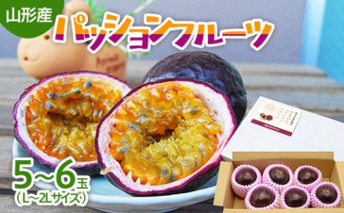 山形市産 パッションフルーツ 5～6玉(L～2Lサイズ) 【令和8年産先行予約】FU21-667 182466 - 山形県山形市