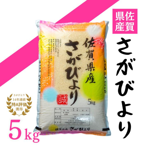 【新米】令和7年 佐賀県産「さがびより」5kg：B120-068 182486 - 佐賀県佐賀市