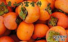 九度山の富有柿は、お味に定評があり、根強いファンの多い富有柿です。 そんな人気の富有柿を7.5kg箱に詰めてお届けいたします。 食べごたえもあり、肉厚で濃厚な甘さがあり、しかもジューシーです。 また、