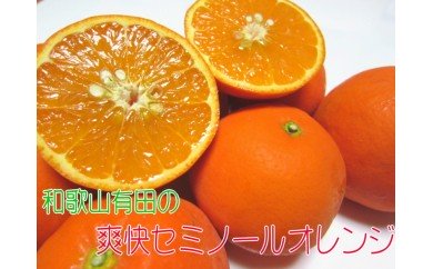 AB6060_【先行予約】有田育ちの爽快 セミノール オレンジ 【訳あり 家庭用】3kg