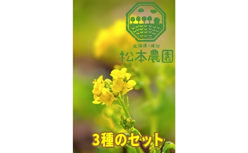 松本農園「畑」シリーズ3種のセット 182753 - 北海道滝川市