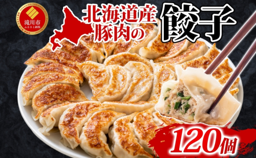 【 ふるさと納税 】楽楽食品 北海道産豚肉の餃子 120個 北海道産 日本産 国産 国産豚肉 豚肉 ポーク ギョウザ ぎょうざ 中華 中華料理 惣菜 お惣菜 おかず 焼き餃子 揚げ餃子 水ギョウザ 水餃子 餃子鍋 アレンジ 簡単調理 お取り寄せ 送料無料 北海道 滝川市 182761 - 北海道滝川市