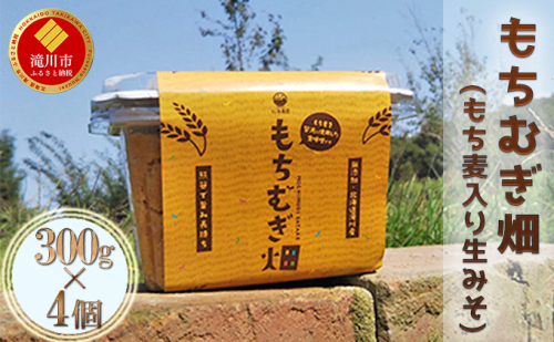松本農園「畑」シリーズ　もちむぎ畑(もち麦入り生みそ)300g×4個｜北海道 滝川市 味噌 調味料 発酵調味料 みそ 生みそ もち麦 182787 - 北海道滝川市
