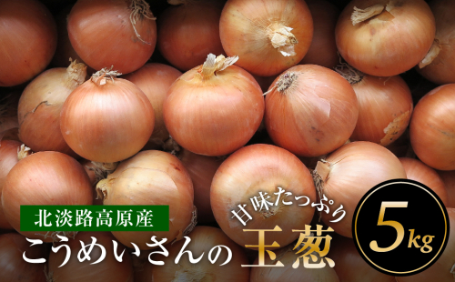 こうめいさんの玉葱5kg 182928 - 兵庫県淡路市