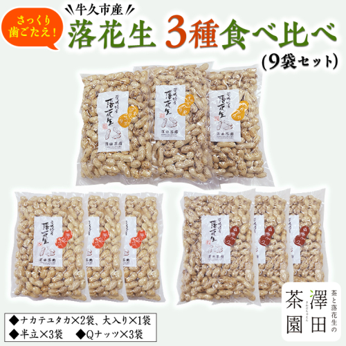 牛久市産 落花生 3種 食べ比べ9袋セット ピーナッツ ピーナツ ナカテユタカ 中手豊 Qナッツ Qなっつ 半立 はんだち 食べ比べ 農園 自家栽培 有機栽培 おやつ おつまみ お菓子 お取り寄せ 詰め合わせ セット お土産 贈り物 ギフト プチギフト 国産 茨城 特産品 ビールのお供 182980 - 茨城県牛久市