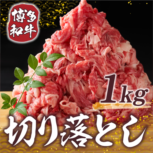 博多和牛 切り落とし 500g 2p 計 1kg [MEAT PLUS 福岡県 宇美町 um40azp010006] 牛肉 切落し 肉 肩肉 バラ肉 和牛 183034 - 福岡県宇美町