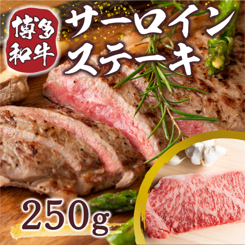 博多和牛 サーロイン ステーキ 250g 1枚 [MEAT PLUS 福岡県 宇美町 um40azp010008] 牛肉 サーロインステーキ 肉 和牛 183036 - 福岡県宇美町