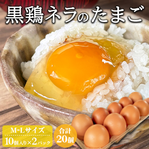 たかはし農園の放し飼い 黒鶏 ネラのたまご 10個×2 計20個 《京都 丹波産 放し飼い 希少 自然卵 平飼い 卵 有精卵 贈り物 ギフト 産地直送 健康食品 贈答》 1830568 - 京都府亀岡市
