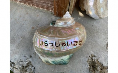【文字入り】夜光貝の置物 183093 - 鹿児島県喜界町