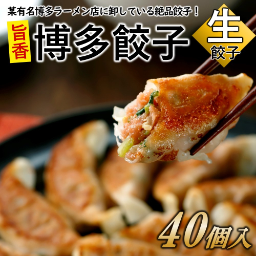 ZG199.【創業40年の老舗が誇る味わい】博多餃子４０個 1831446 - 福岡県新宮町