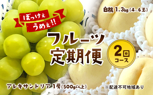 【2025年 先行予約】 ぶどう 桃 ぼっけぇうめぇ フルーツ 定期便 2回 コース ( マスカットオブアレキサンドリア ・ 白桃 )《2025年7月-9月出荷》 岡山県産 フルーツ 果物 数量限定 里庄町 1831554 - 岡山県里庄町