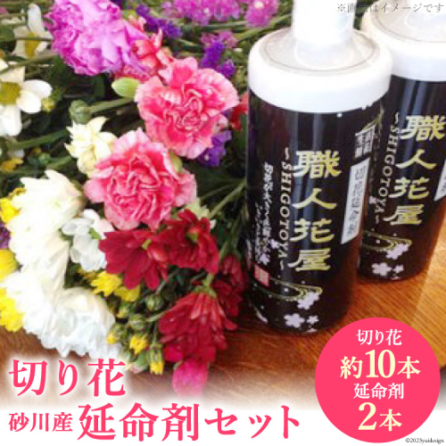 【北海道内限定】切り花(約10本)＆砂川産延命剤(2本)セット [いけがわ生花店 北海道 砂川市 12260336] 183166 - 北海道砂川市