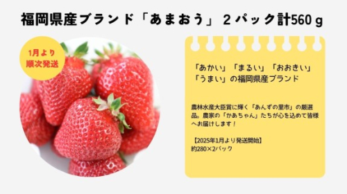 【2025年1月より順次発送】福岡県産ブランドいちご「あまおう」2パック計560ｇ★あんずの里[F0161] 1833182 - 福岡県福津市