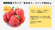 【2025年1月より順次発送】福岡県産ブランドいちご「あまおう」2パック計560ｇ★あんずの里[F0161]