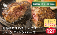 淡路島たまねぎどっさりジャンボハンバーグ 200g×12個【2025年11月～12月発送】