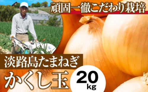 今井ファームの淡路島たまねぎ「かくし玉」20kg　　[玉ねぎ 玉葱 淡路島 玉ねぎ たまねぎ] 183353 - 兵庫県淡路市