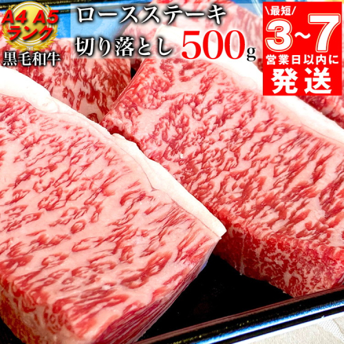 【7営業日以内発送】京の肉 ひら山厳選 京都府産 黒毛和牛 ロース ステーキ 切り落とし 100g×5枚 計500g｜特選 A5・A4ランク 熟成肉 和牛 牛肉 京都肉 国産 丹波産 冷凍 183374 - 京都府亀岡市