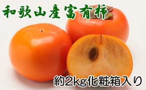 ［厳選・産直］和歌山産の富有柿約2kg（化粧箱入り）（2L～4Lサイズ）★2026年11月頃より順次発送［TM59］ 183449 - 和歌山県那智勝浦町