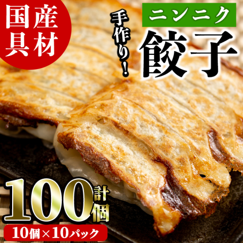 国産豚肉使用！手作りニンニク餃子(計100個・10個×10パック)国産 ギョウザ ぎょうざ お肉 にんにく おかず 惣菜 おつまみ【スーパーよしだ】akn058-06 183463 - 鹿児島県阿久根市