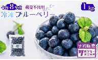 [7月下旬発送]先行予約[令和8年産]冷凍 ブルーベリー 1kg 大粒 無農薬栽培 ひょうご安心ブランド ブルーベリー 果物 フルーツ くだもの ふるーつ 完熟 国産 兵庫県丹波市産