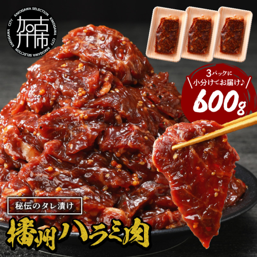 播州で愛される秘伝の焼肉タレ漬け牛肉 播州ハラミ肉 600g(200g×3パック)《 肉 焼肉 やわらか ハラミ 焼肉セット バーベキュー 肉 BBQ 》【2400A00424】 1838234 - 兵庫県加古川市