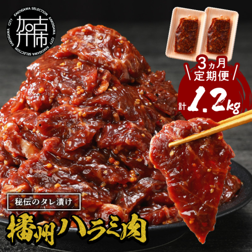 播州で愛される秘伝の焼肉タレ漬け牛肉 播州ハラミ肉 400g(200g×2パック)【3ヶ月定期便】《 肉 食品 焼肉 やわらか ハラミ 焼肉セット バーベキュー BBQセット 定期便 》【2401A00426】 1838334 - 兵庫県加古川市